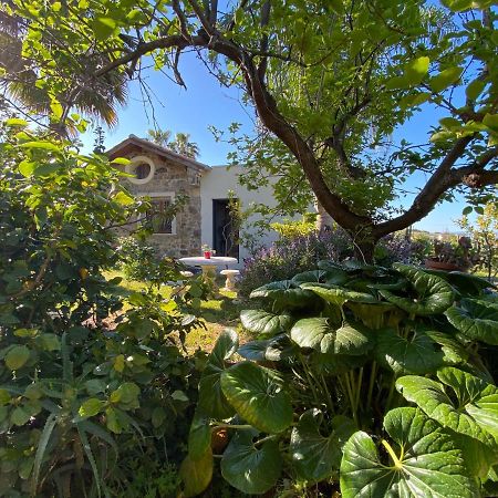 "Giardino Fiorito" Vila Gizzeria Exterior foto