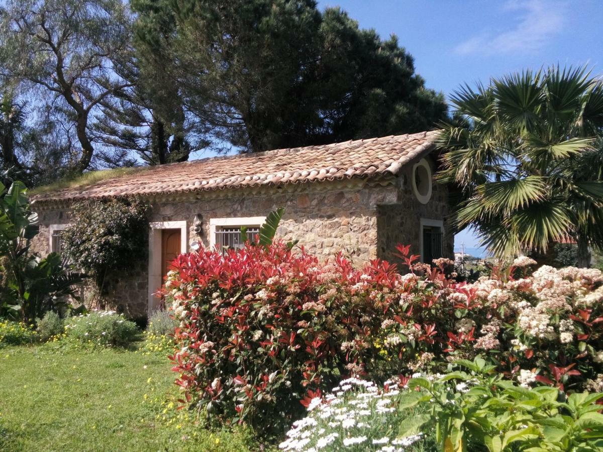 "Giardino Fiorito" Vila Gizzeria Exterior foto